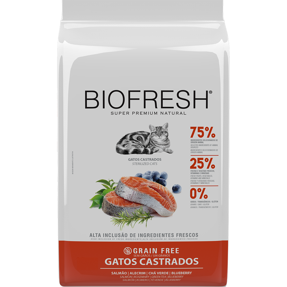 GATOS CASTRADOS